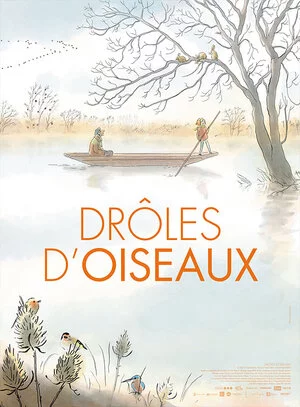 Drôles d'oiseaux